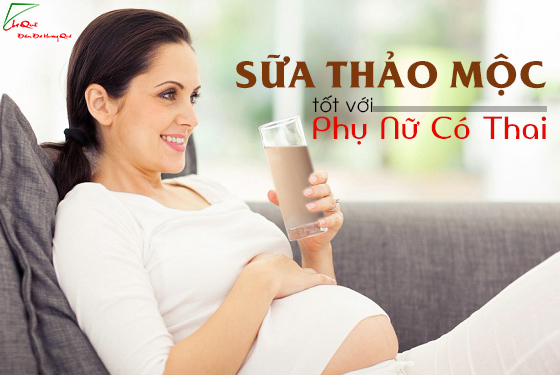 SỮA THẢO MỘC KOHKOH – DINH  DƯỠNG CHO MỌI NGƯỜI